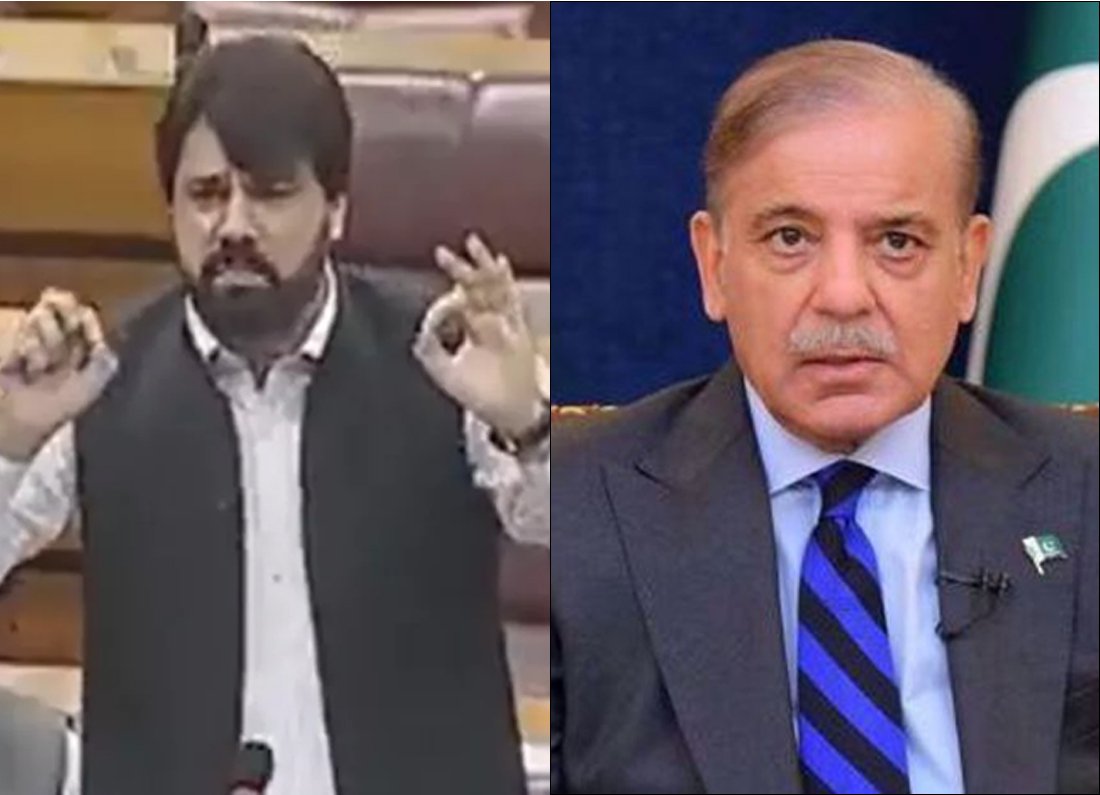 India Pakistan War Pakistan PM Shabaz Sharif Parliament Viral Video Operation Sindoor